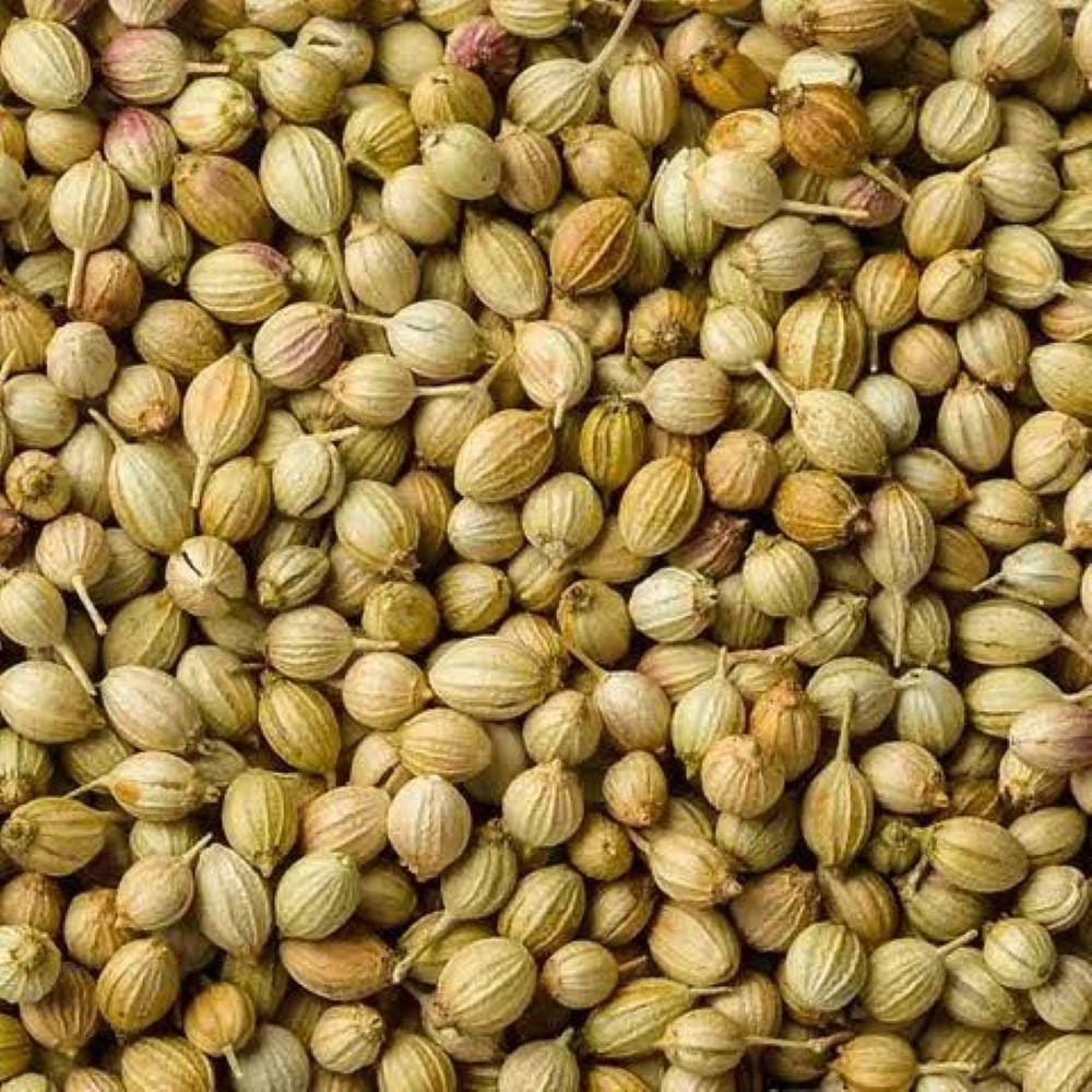 corianderseeds